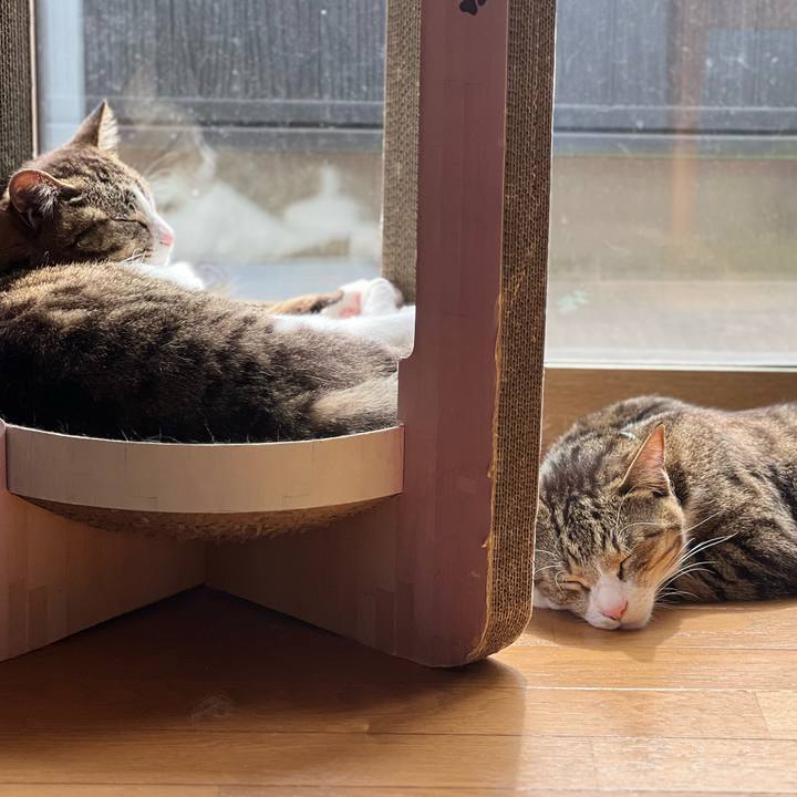 Cbc90b3a ca20 4434 8e1b 1db6719785f0 1752556809945