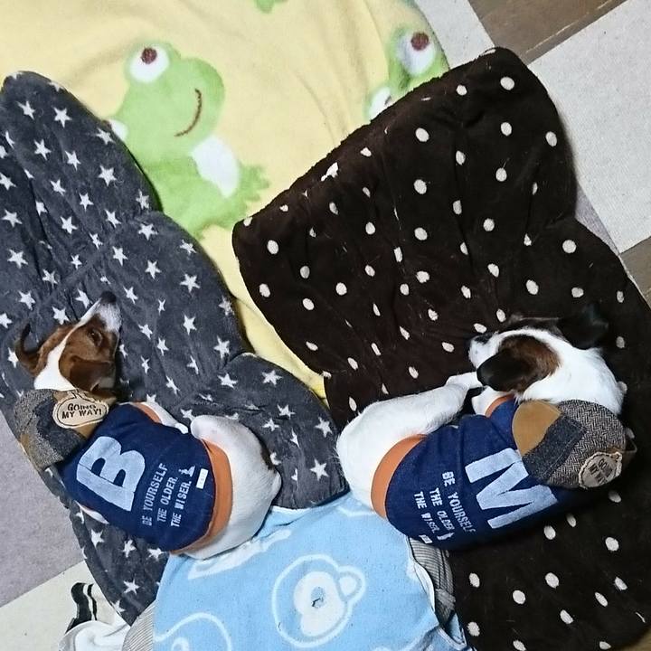 Cbc92288 1e71 4ac3 b06c cff1b35b0125 1578061227555