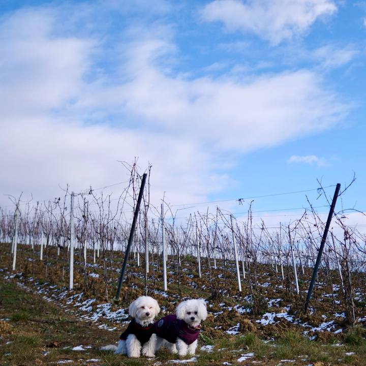 Cbc92b20 3402 41ef 884e d45f7b1712f9 1768775544444