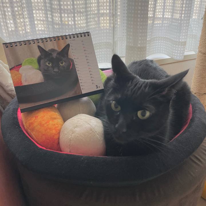 Cbc93d62 4f1b 403d 88ae da8cfb40541b 1678881408286