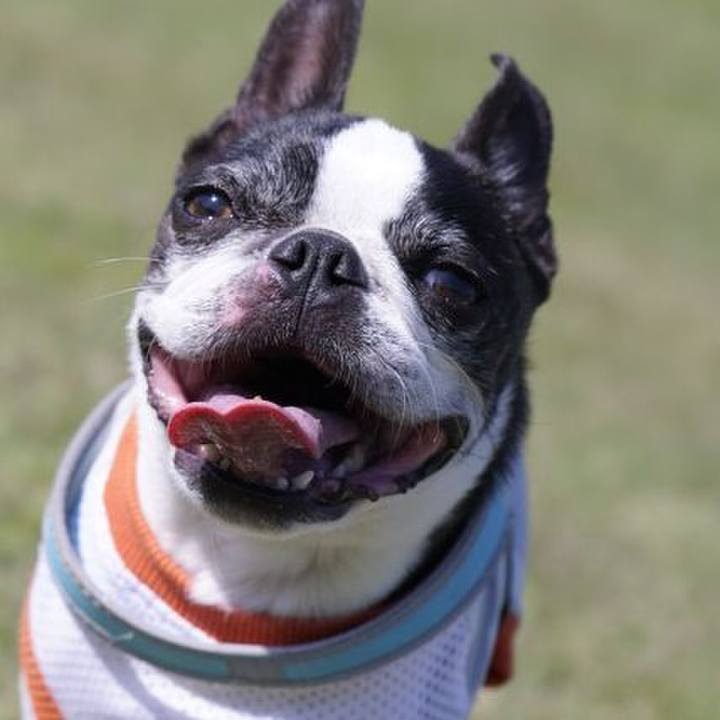 Cbc951de 7a2b 4739 8591 f3c25eeacf1d 1526044547854