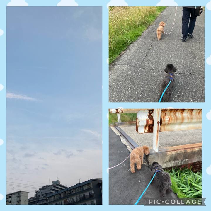 Cbc96689 bc11 4825 82bf 313d2f1b5504 1624542381173