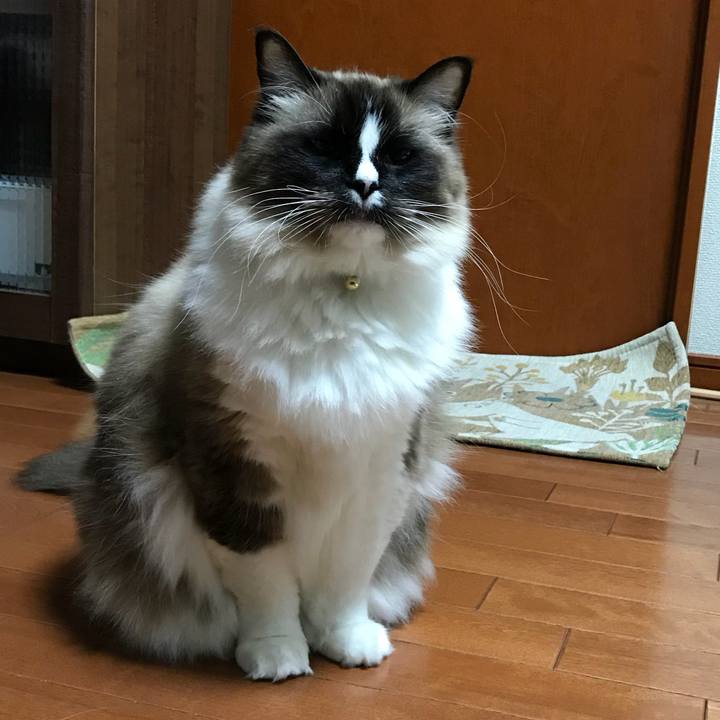 Cbc97d18 1de1 4ad5 953d df82792d2334 1516744840545