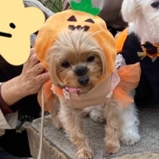 Cbc9966e 4597 48ec 9e85 47eeb02e21c5 1667087522677