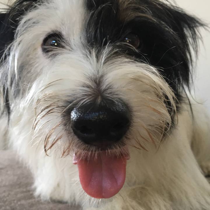 Cbc9b3f3 e6b5 420a b536 3dbf304751a5 1508450210229