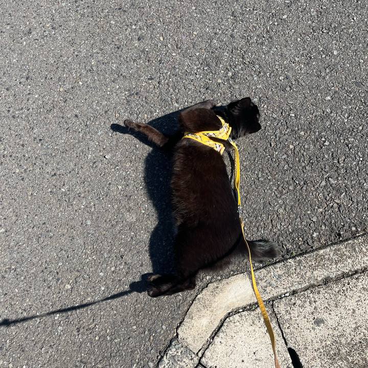 Cbc9f70d b160 4b77 b663 1b8308d8220b 1677037970752