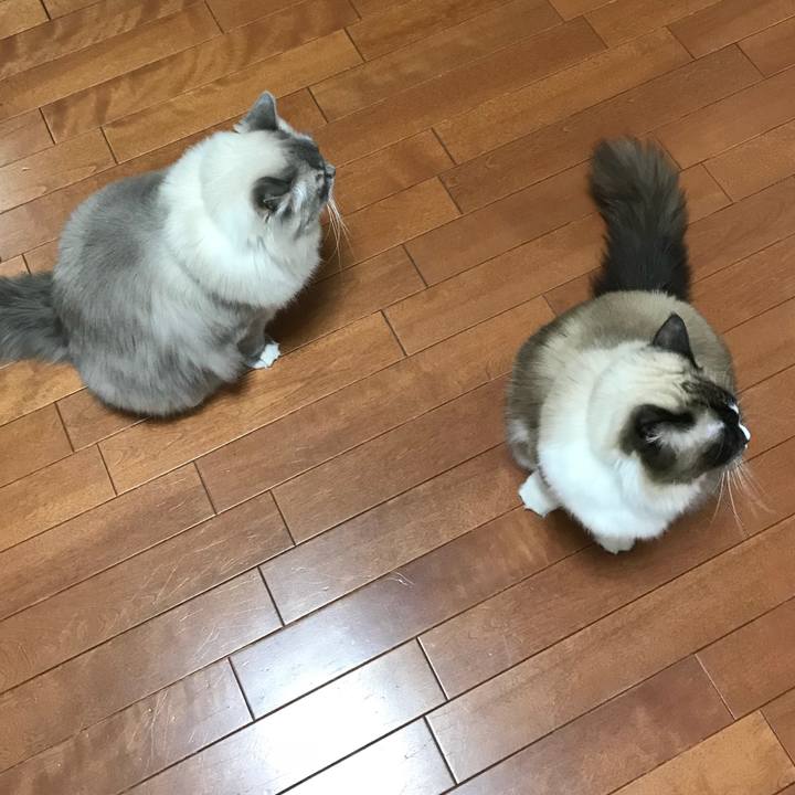 Cbc9fbff 5696 41ac 9554 0b8cb3ab9550 1513504390495