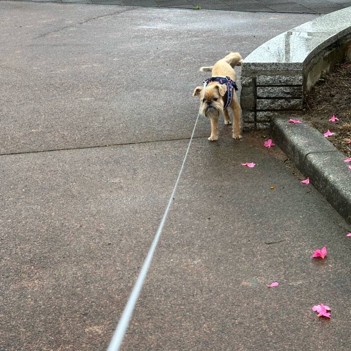 Cbca186f 104f 4af7 a4d7 ccebc43d826d 1749016107206