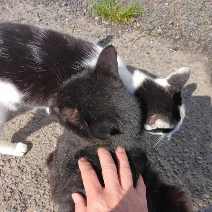 Cbca1cbc 40ed 4a5b b30a 02c77b1f2095 1712726953190