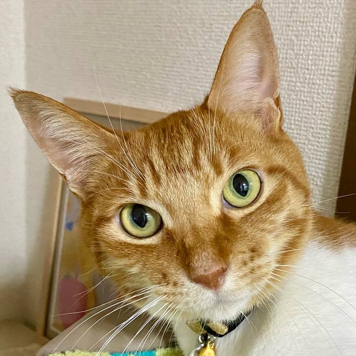 Cbca4040 b3b1 4c7f bbc8 8d9c374941bf 1714219198905