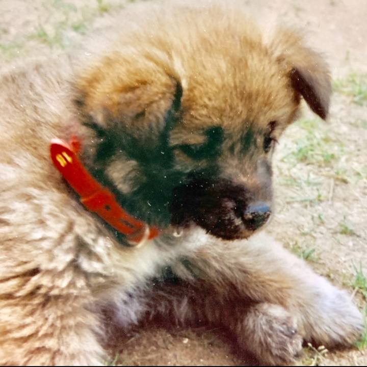 Cbca459d a593 4646 9358 69ef774a9fee 1655716972688