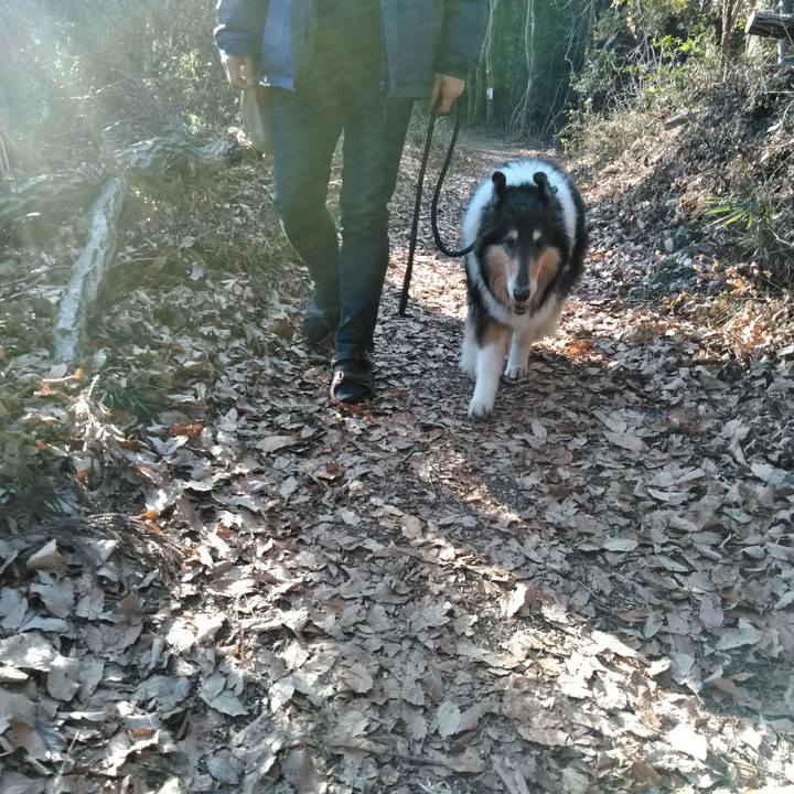 Cbca4648 a5e6 4105 8378 bdf541626173 1547390422434