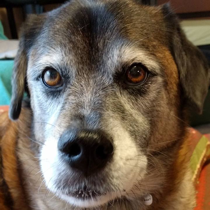 Cbca5213 92ef 48fc 96bf dd21688d61a4 1542618574367