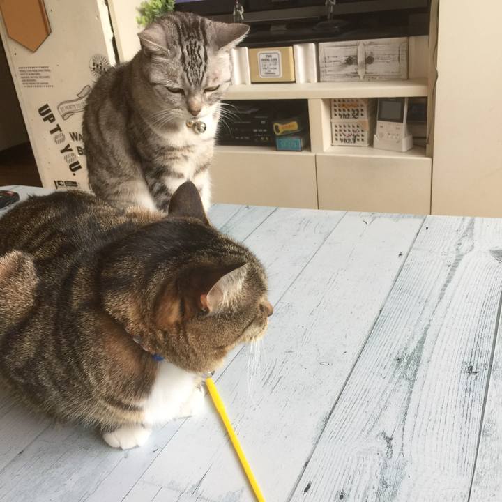 Cbca70a7 97be 447e 81f7 721f54d8106a 1556679145167