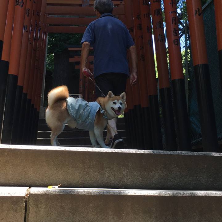 Cbcab593 ce98 45de 821e fbd7b74c53fc 1530358038783