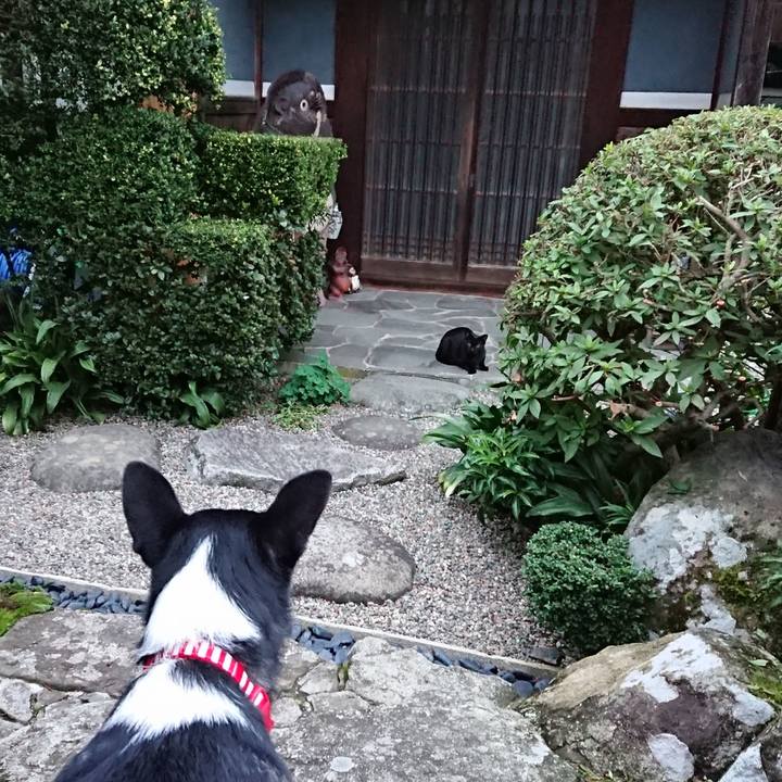 Cbcad24a c7e6 4699 b23e f38993ba3479 1537088853206