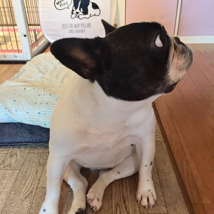 Cbcafcc0 0398 498f 8992 749226e56f36 1533859152893