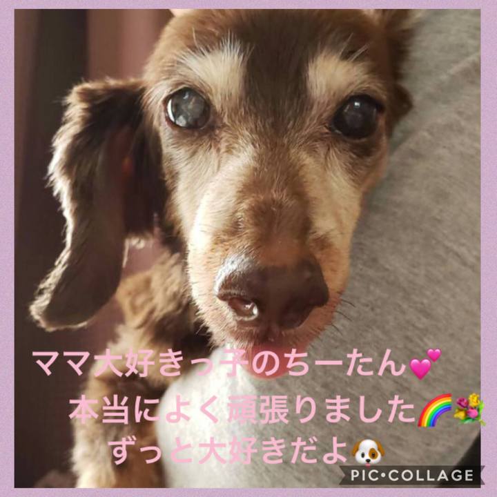 Cbcaffbc ac95 4ea6 8ebc b79107447910 1542809903939