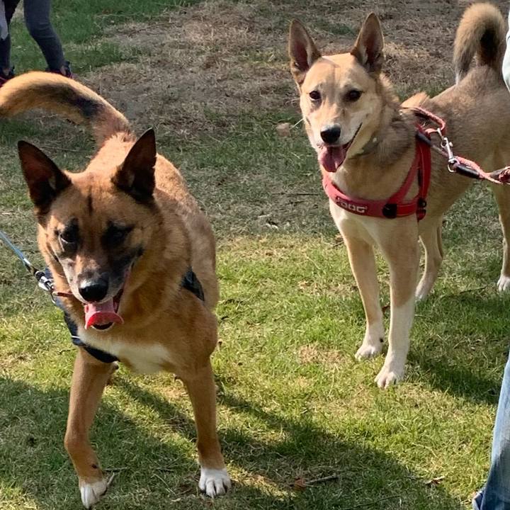 Cbcb2a4c eac0 43ea 84b5 47358d289b17 1619338145592