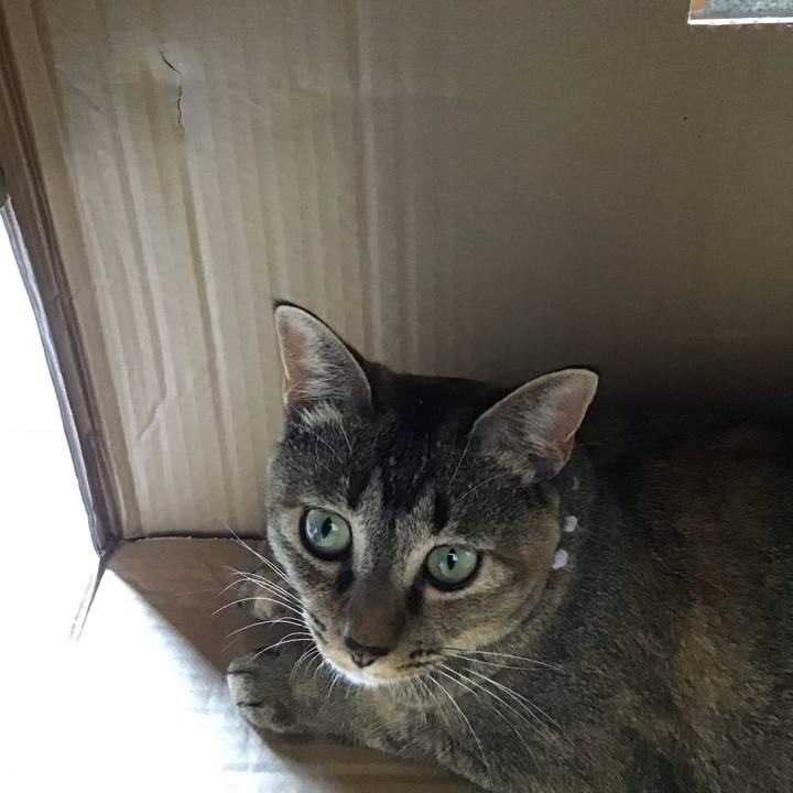 Cbcb6278 162b 43c5 9d5d bf8a5ba8ce63 1597809796110