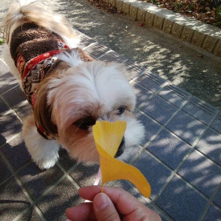 Cbcbcb33 8067 4219 b014 5658a2d1ba48 1510894560405