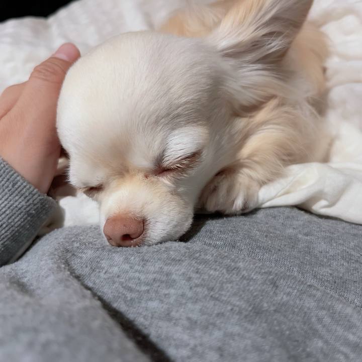 Cbcbde0e 6a53 4fb5 8929 f9c9f921513f 1710326449528