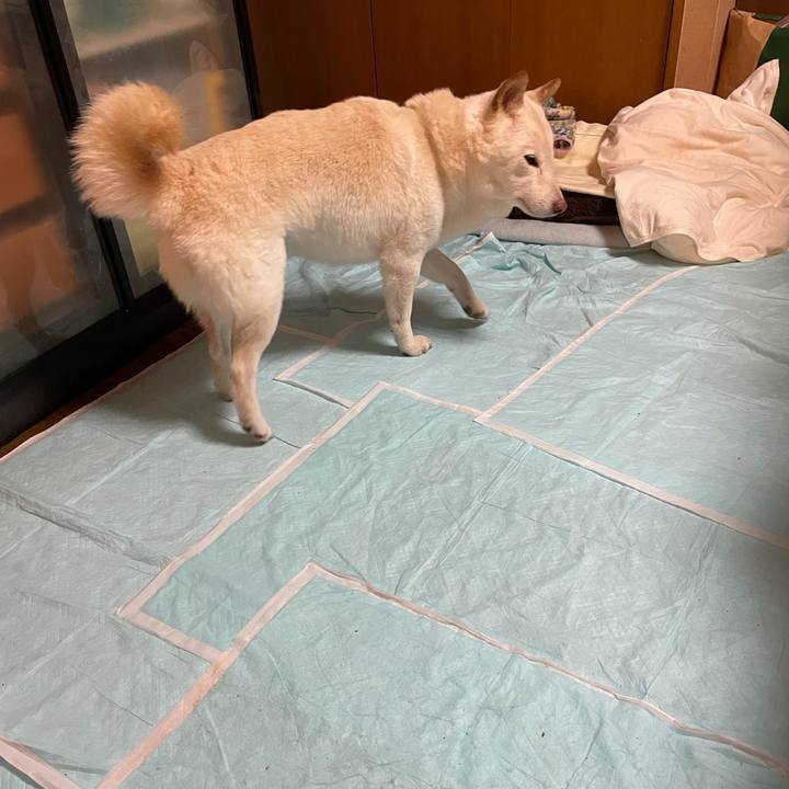 Cbcc2088 bdb4 4ecf abd6 4cdc3bb5d962 1634903270922