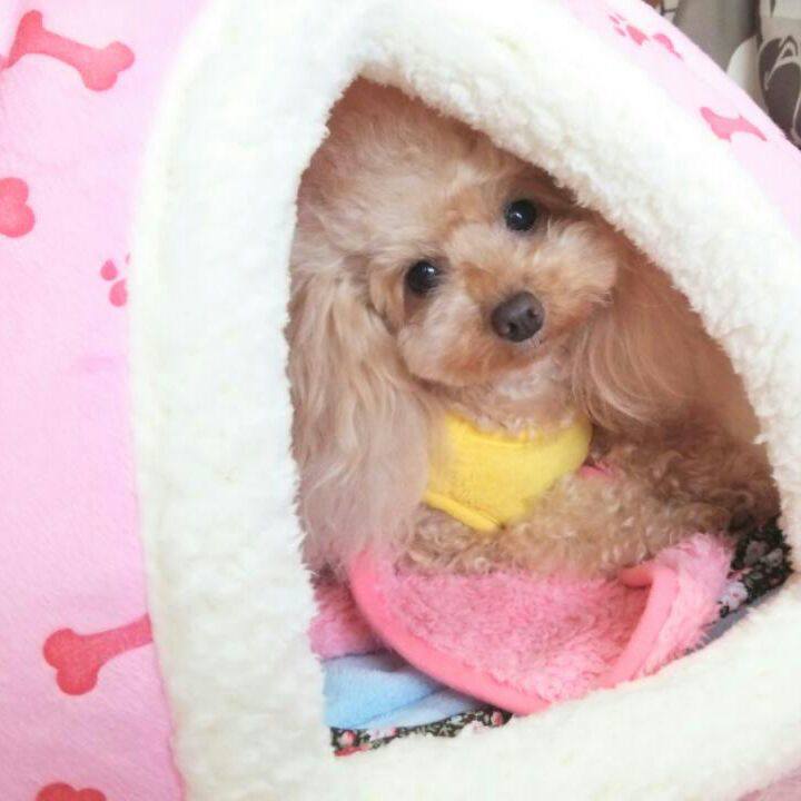 Cbcc52ea d109 4b6c b053 9d43168f3159 1544862463373