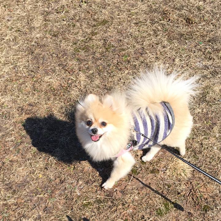 Cbcc5524 d9a4 4ca7 99b2 2b07a01a64ae 1522411886667