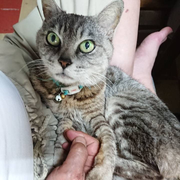 Cbcc8eb2 a8f6 49a2 99ef 0edd3ad327a2 1563275949394