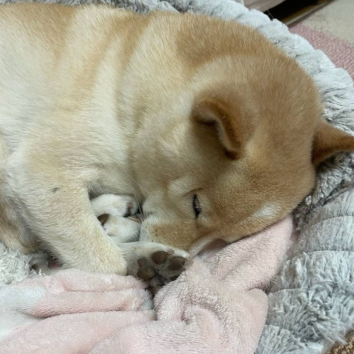 Cbcc9637 ec5c 4c49 ad46 5ec50144c69e 1700572062422