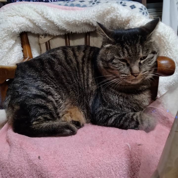 Cbccb291 08a4 45a5 8042 3b8f5425b91d 1673179849430