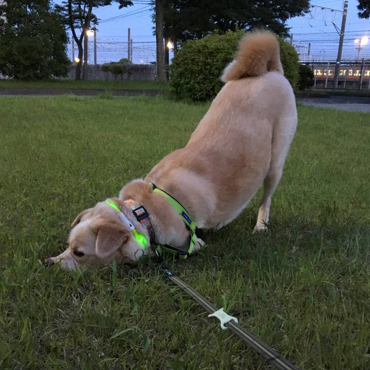 Cbccd6e0 3631 454f 9380 c19dfe1181ba 1526554579856