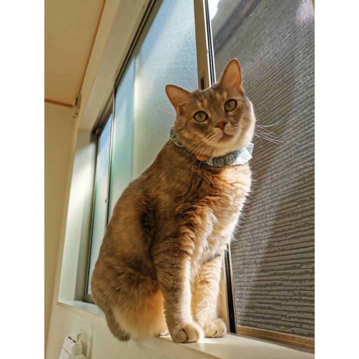 Cbccf09b 12d6 4851 80a4 c56771f2bfe6 1657511809388