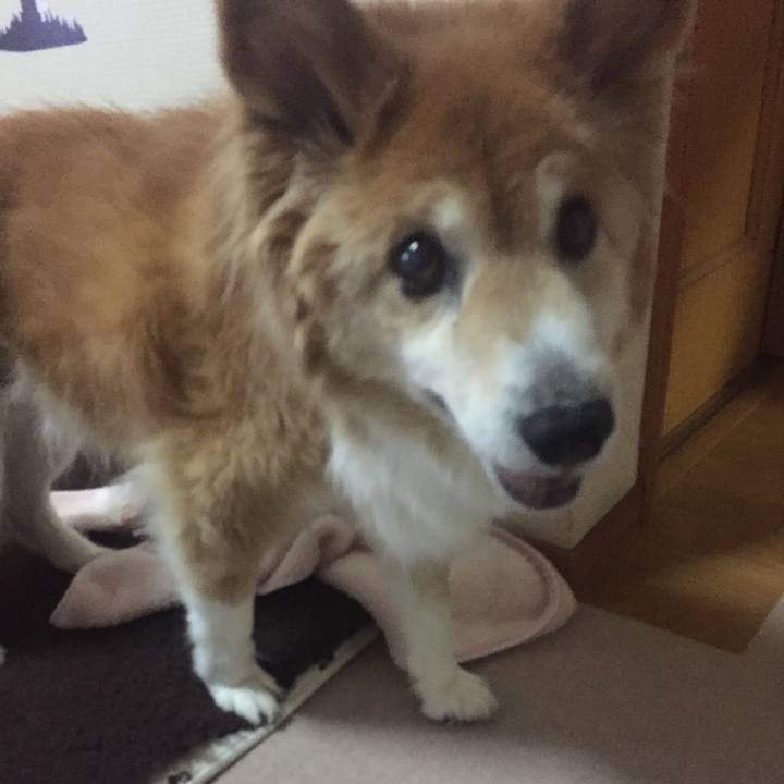 Cbcd263a 647d 4dd0 baaa ba935cf2ff00 1521632105912