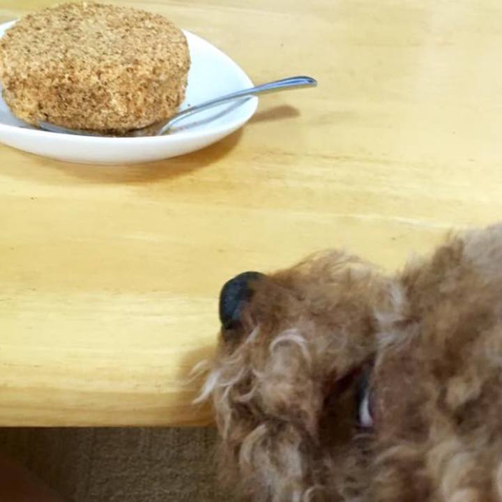 Cbcd2893 8993 41d7 8f10 2fd7b5d4780f 1536675530303