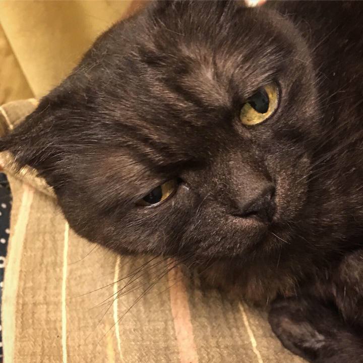 Cbcd3581 82ce 42b1 aa6f 218ebf1614ac 1560010020906