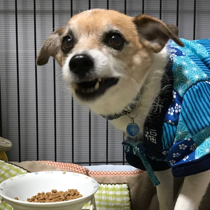 Cbcd3af3 0220 4fc0 862b 32c8a41c3ad3 1607292908355