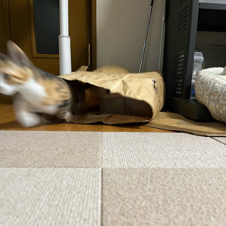 Cbcd5141 6565 4bea b191 1b532c77a6f7 1654954872263