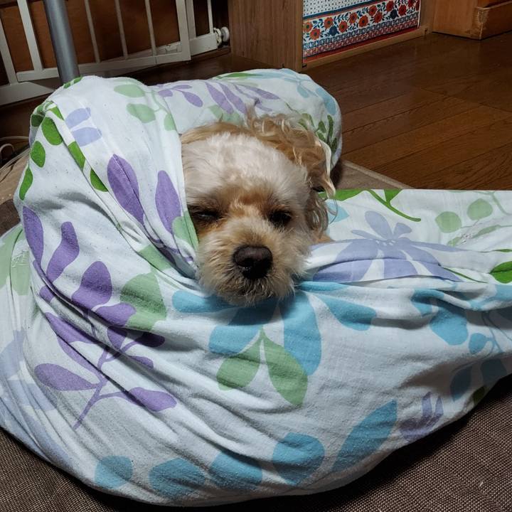 Cbcda005 a66e 41fd b08e fa468d0cd52c 1659755936880