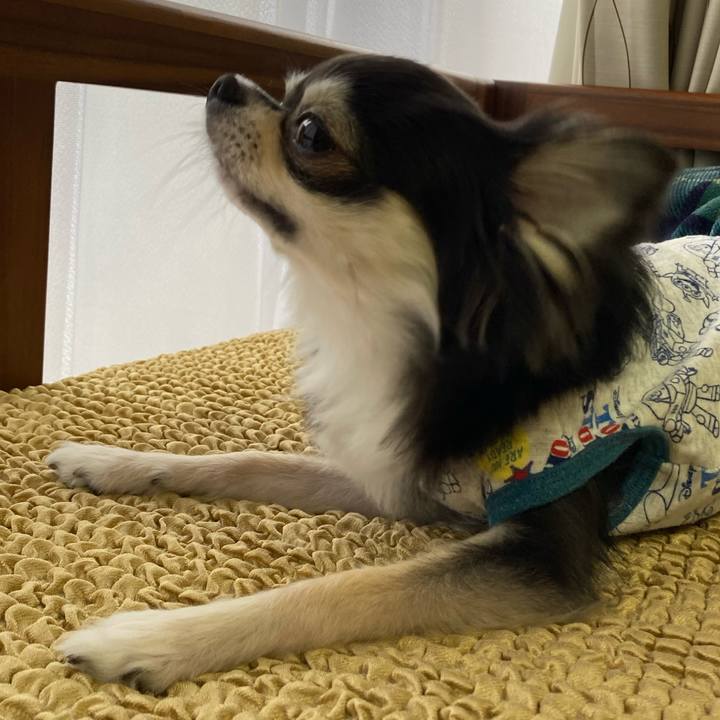 Cbcdb172 30af 4c47 9059 aecd21ef6d90 1650718783422