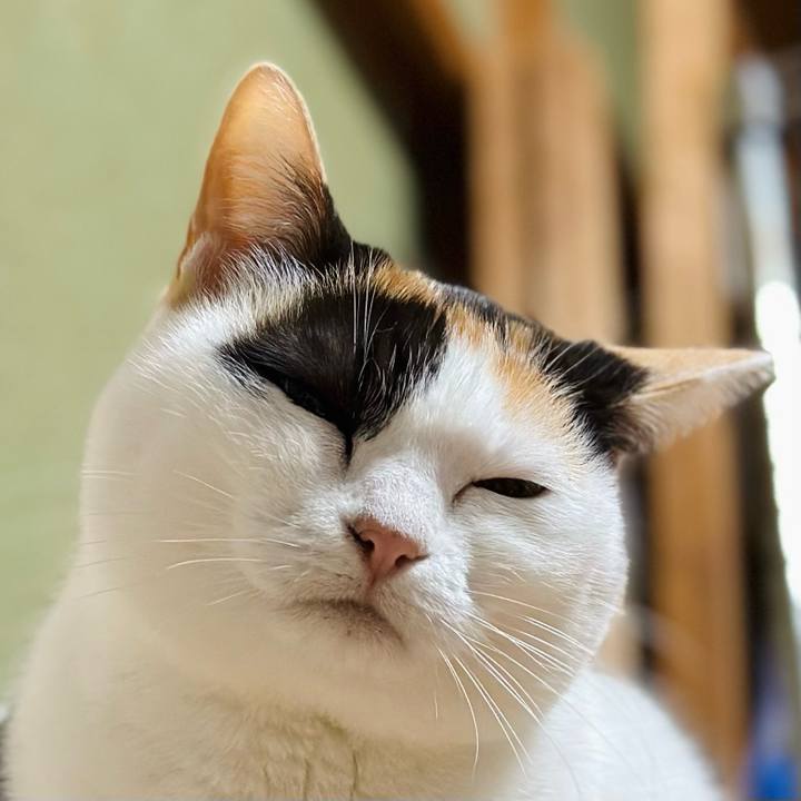 Cbcdf704 c480 4921 90ce 7cffda637b2f 1672100464041