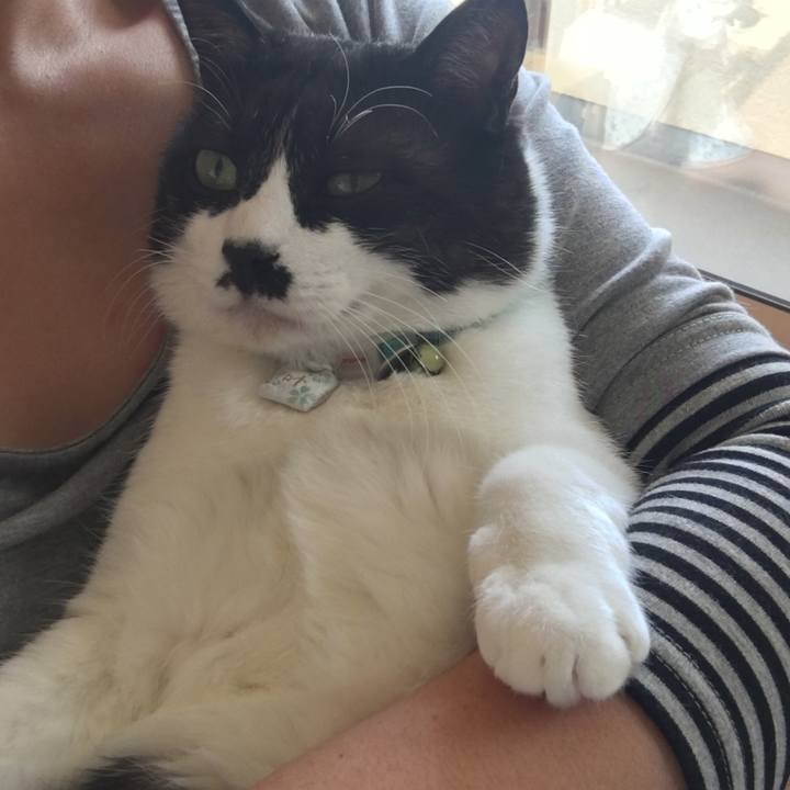 Cbce23fc 6da1 4c6c 8333 4c83cd1ec3b1 1515983834999