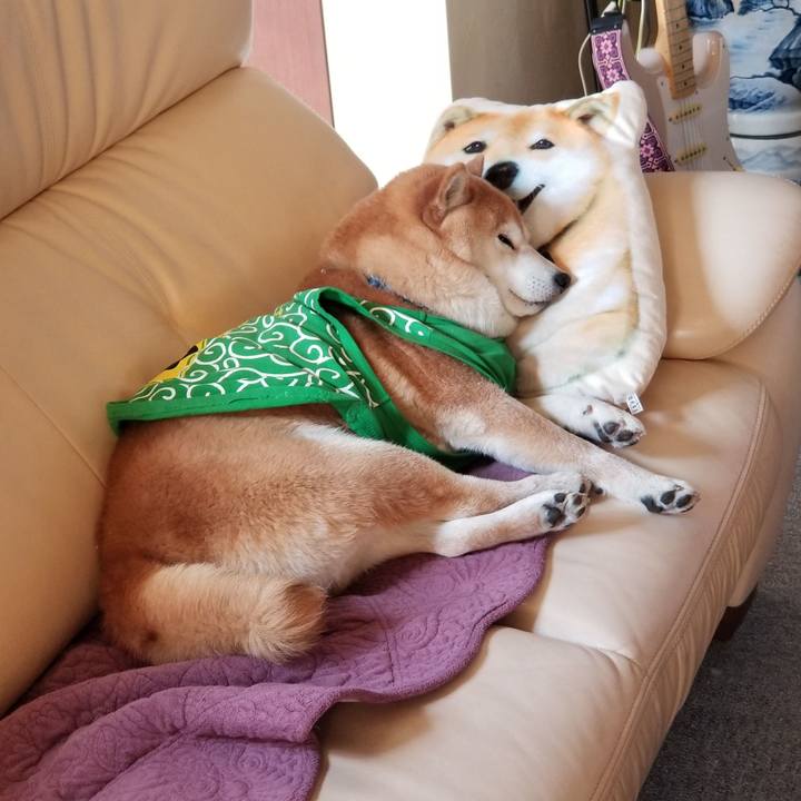 Cbce7715 62d9 4845 9010 e235e3cdbf76 1586559537662