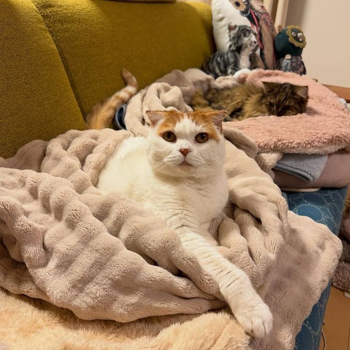 Cbce77a6 a69a 4a89 b866 34bfce6f17c2 1766315076806