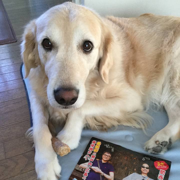 Cbcec976 29b7 4192 806f 19f30db03555 1539122023083