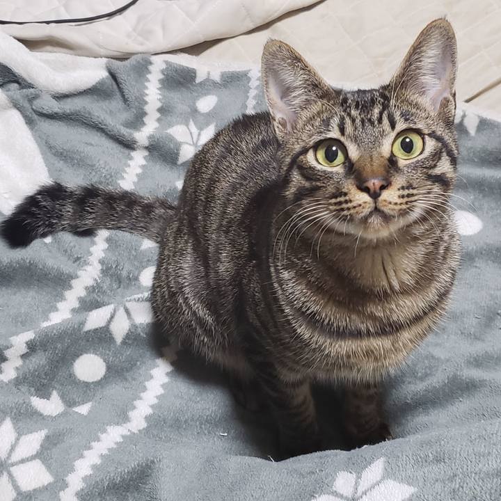 Cbcedf5e 04e4 428c 9504 97da61aee1f8 1549450654903