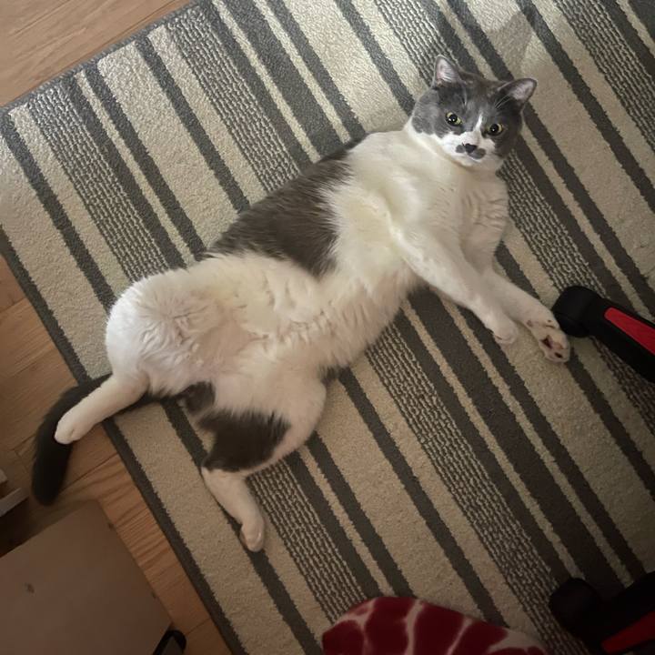 Cbcefe8f 3b2a 472e 8b39 d3040040546c 1755408842381