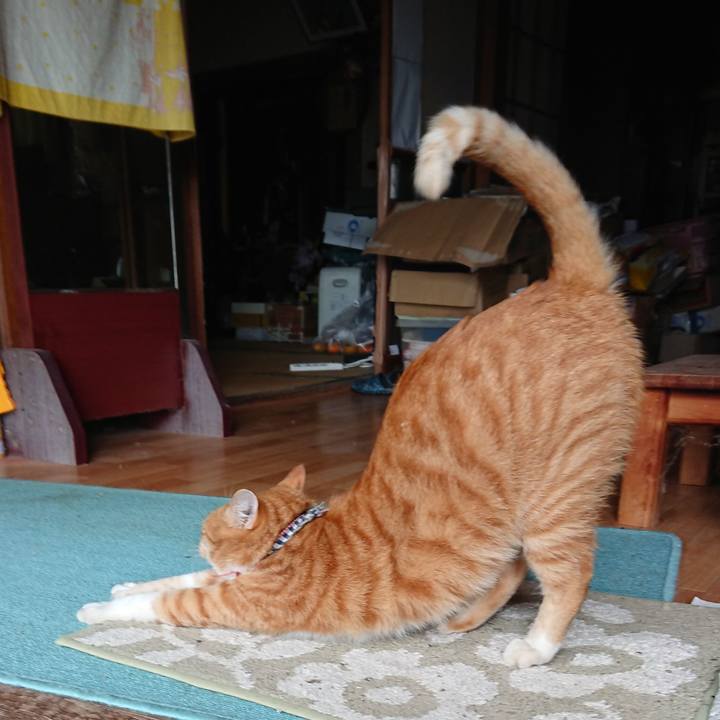 Cbcefedd a583 41c8 8dca fef15c1f70ef 1572067089740