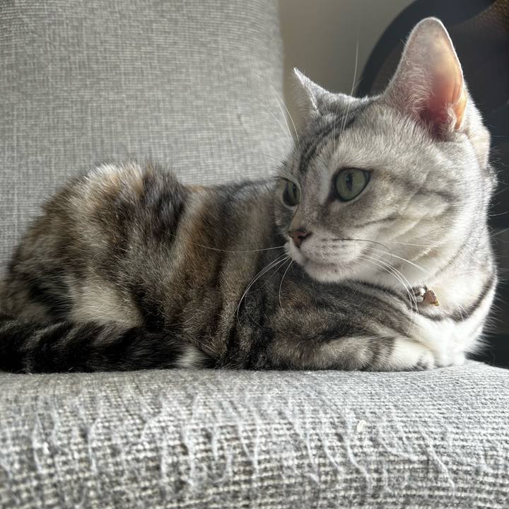 Cbcf0c3c ea20 4c5c 84fe decabf44d7f7 1760748867592